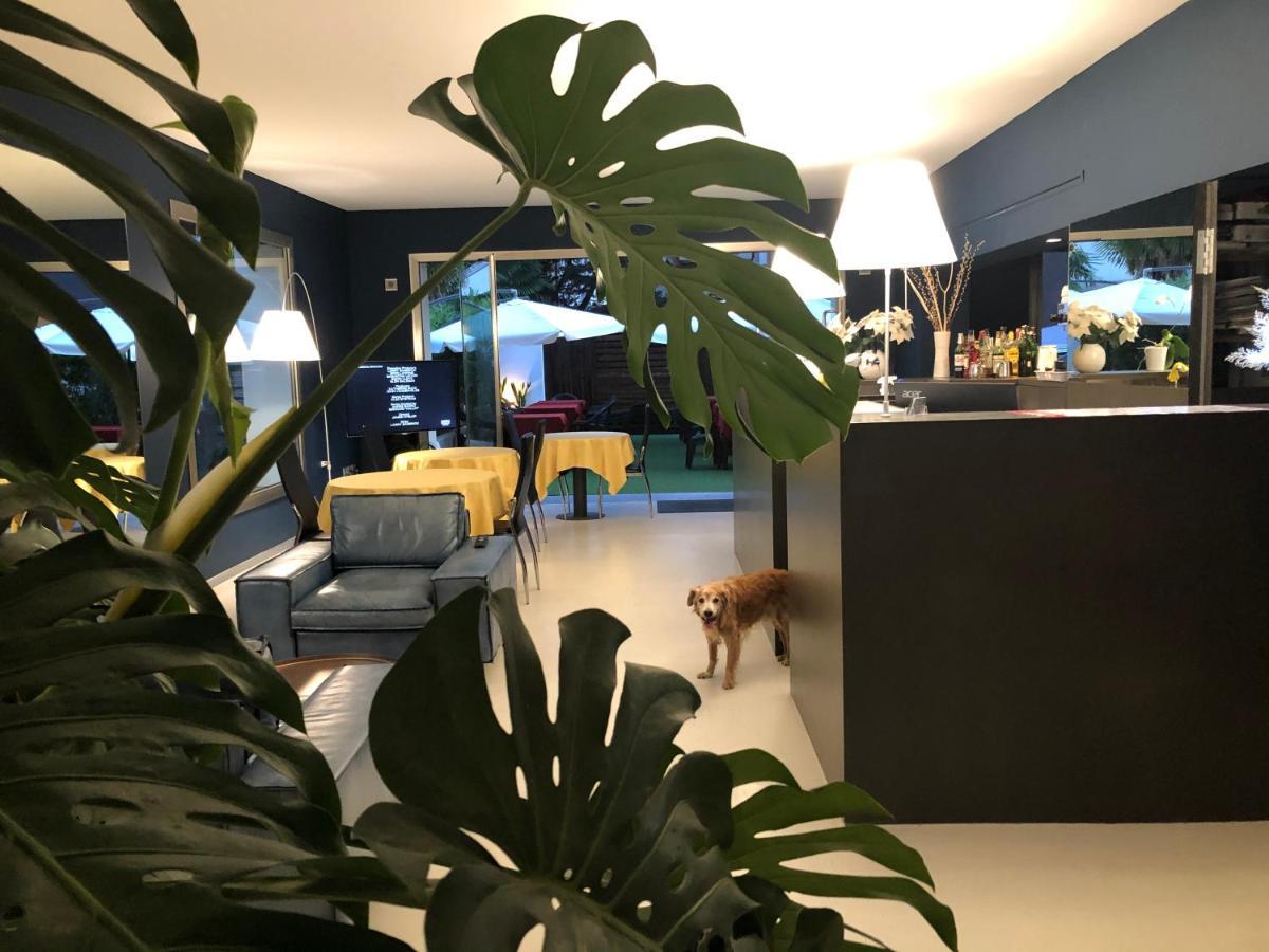 Villa Regina Riva del Garda Extérieur photo
